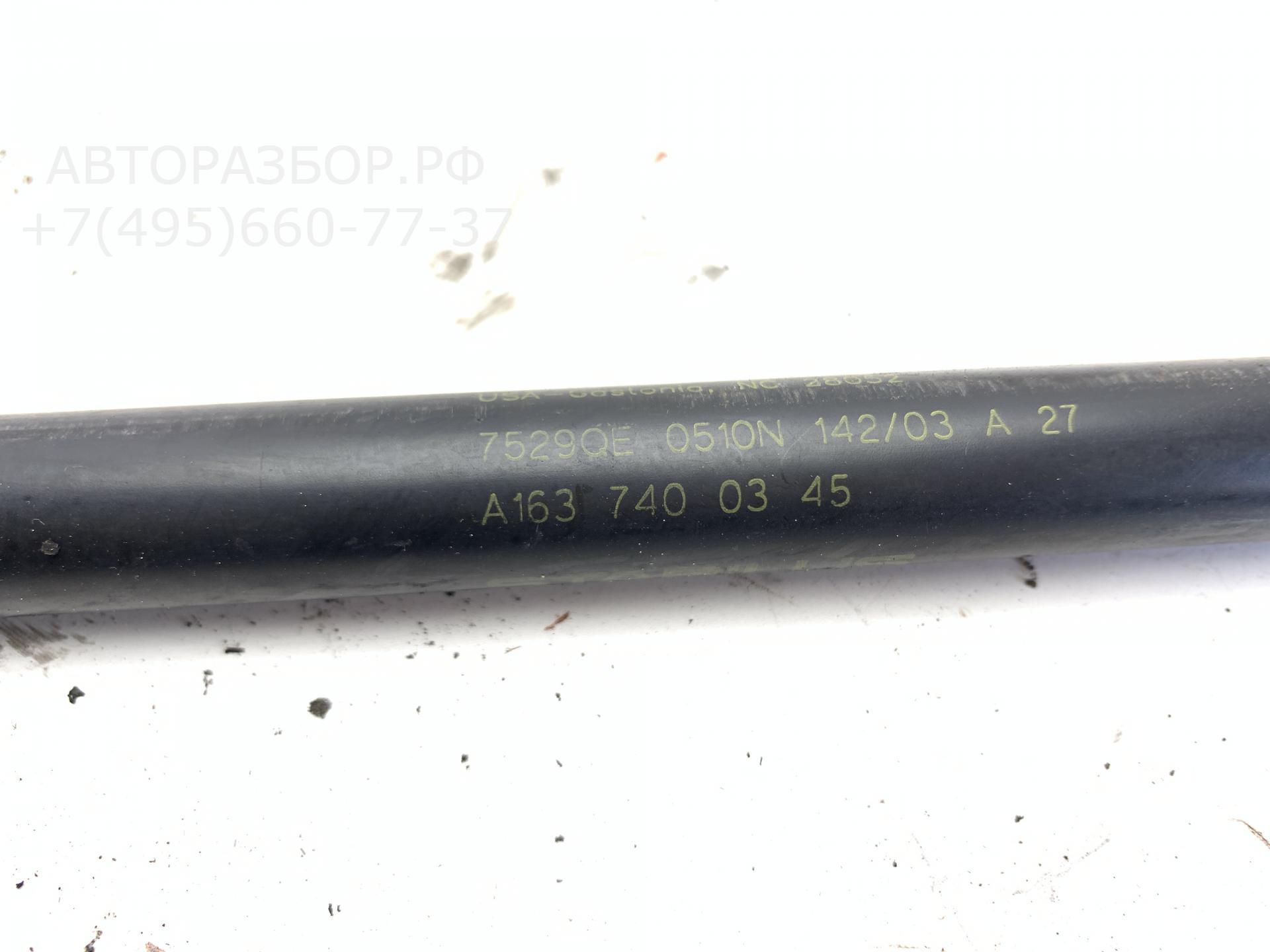 AP-0012923384 AP-0012923384