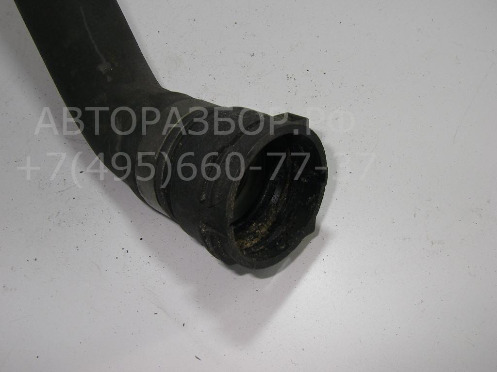 AP-0012831798 AP-0012831798