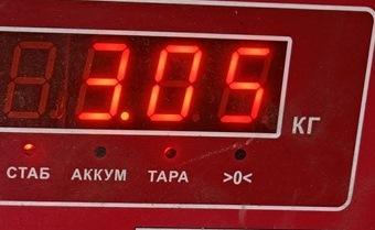 Пружина задняя