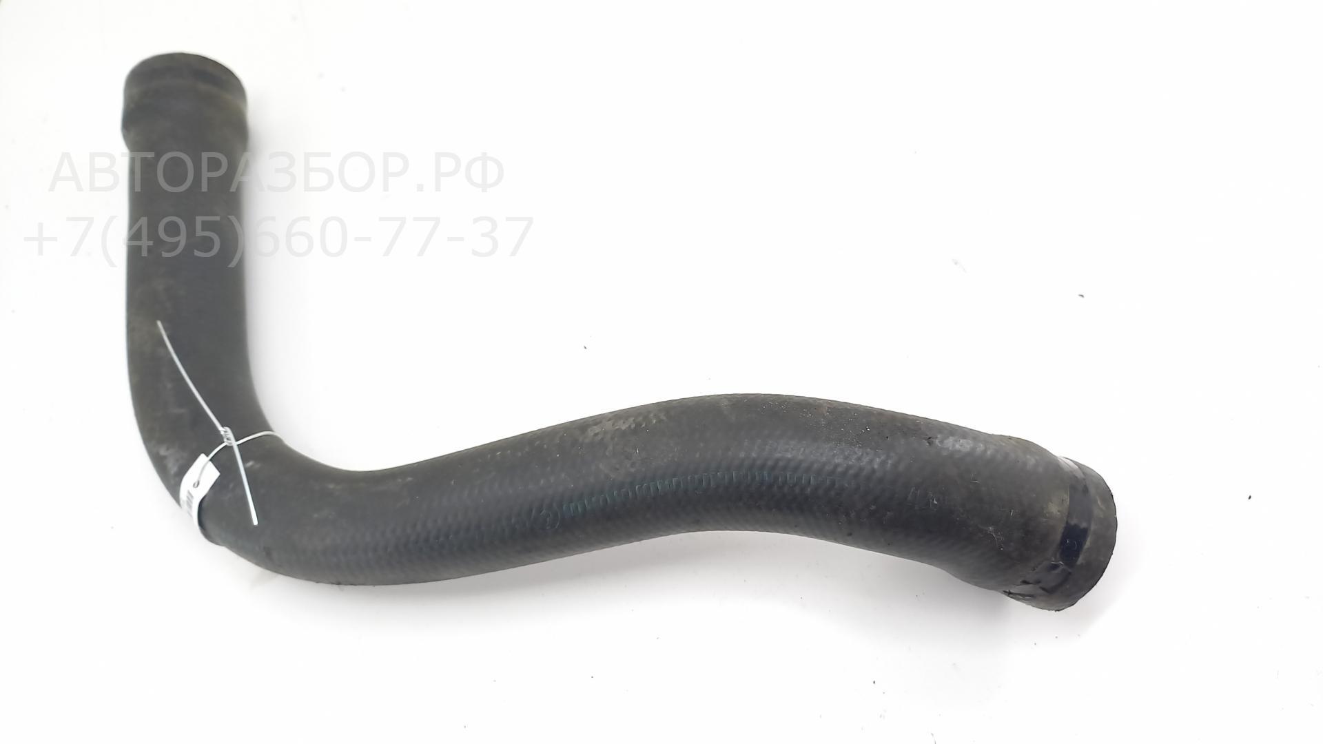 Патрубок радиатора