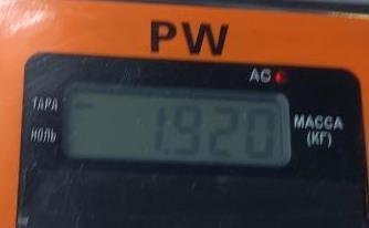 Подушка безопасности боковая (шторка)