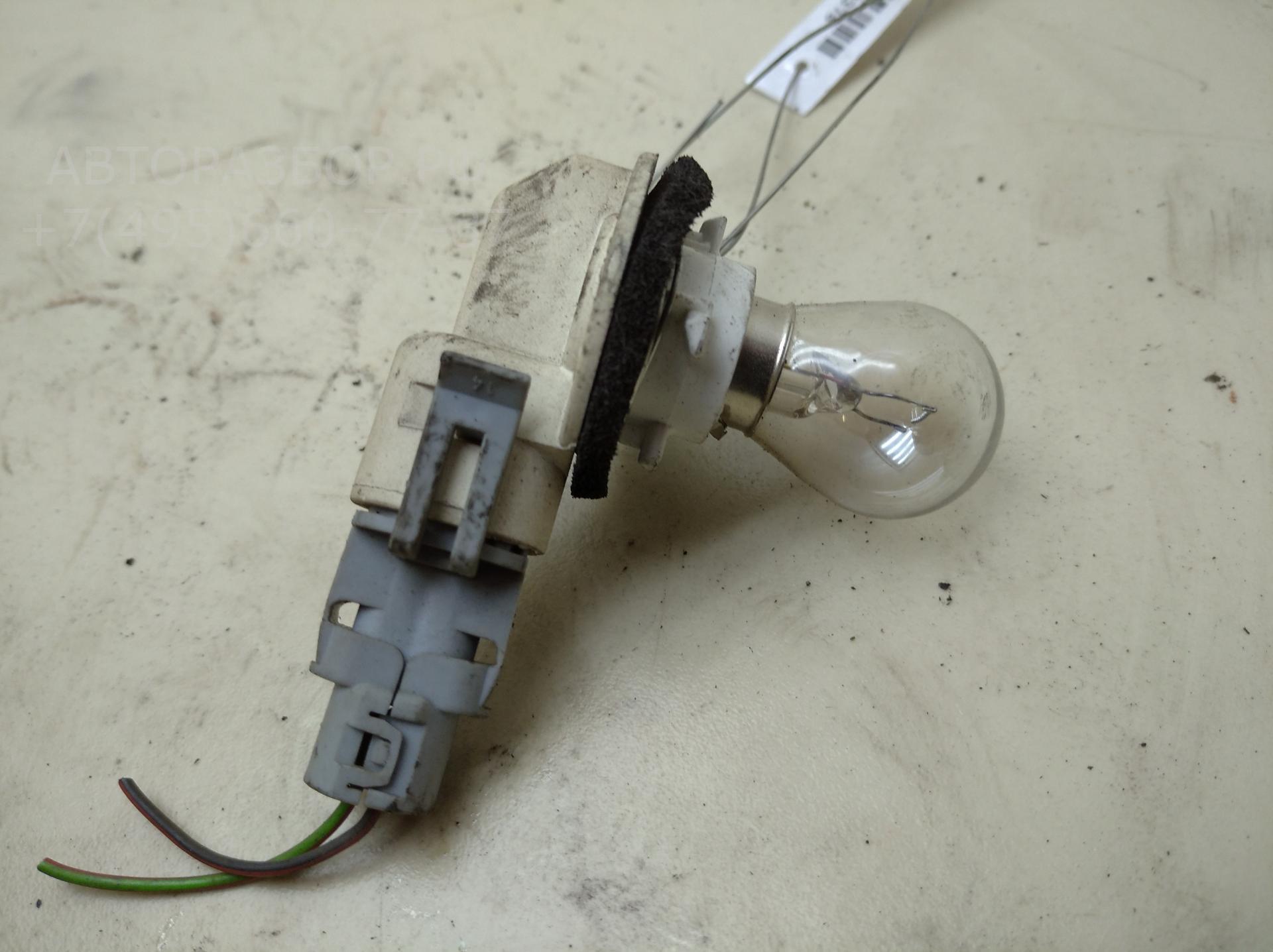 Патрон лампы