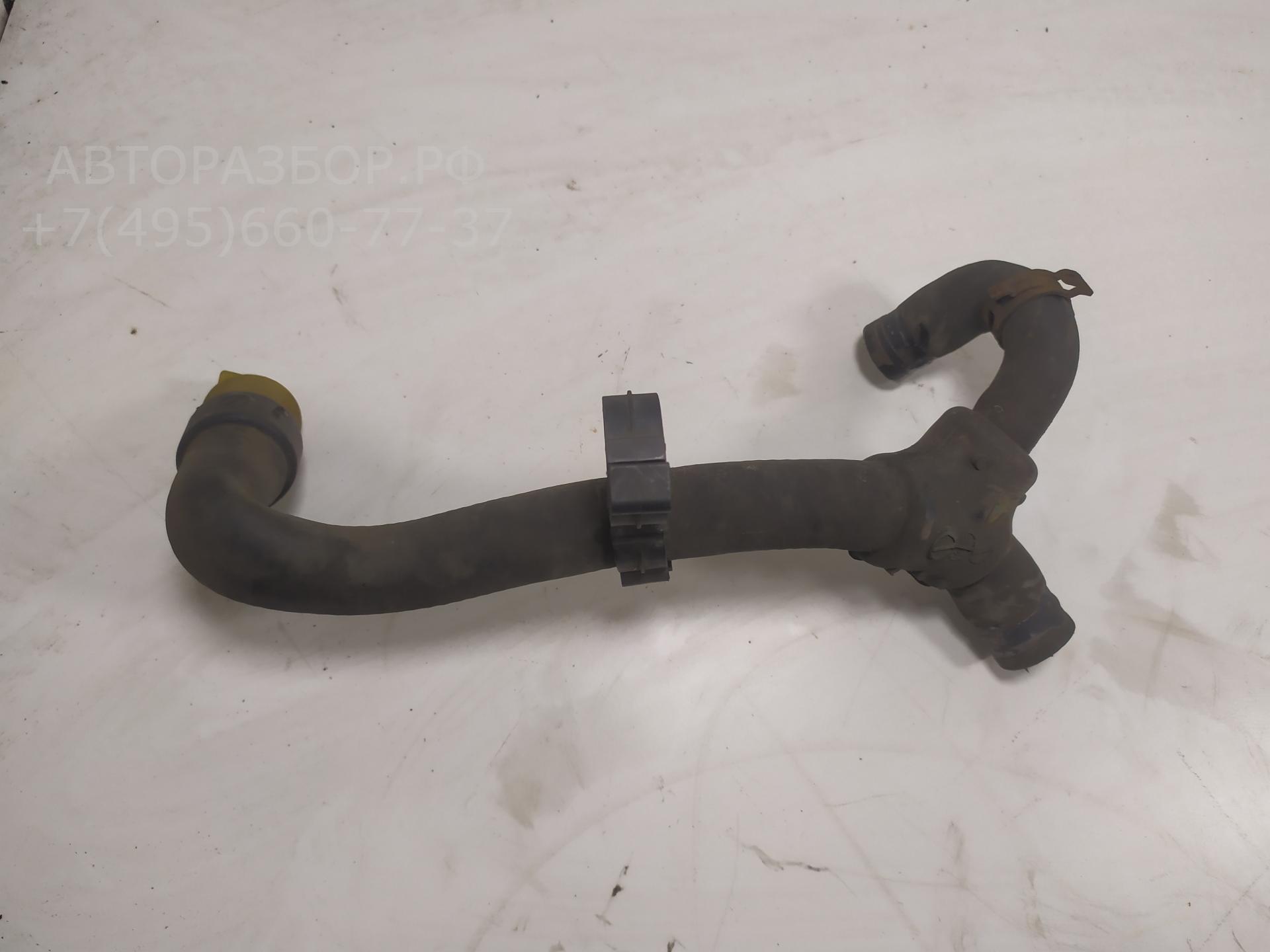 Патрубок радиатора