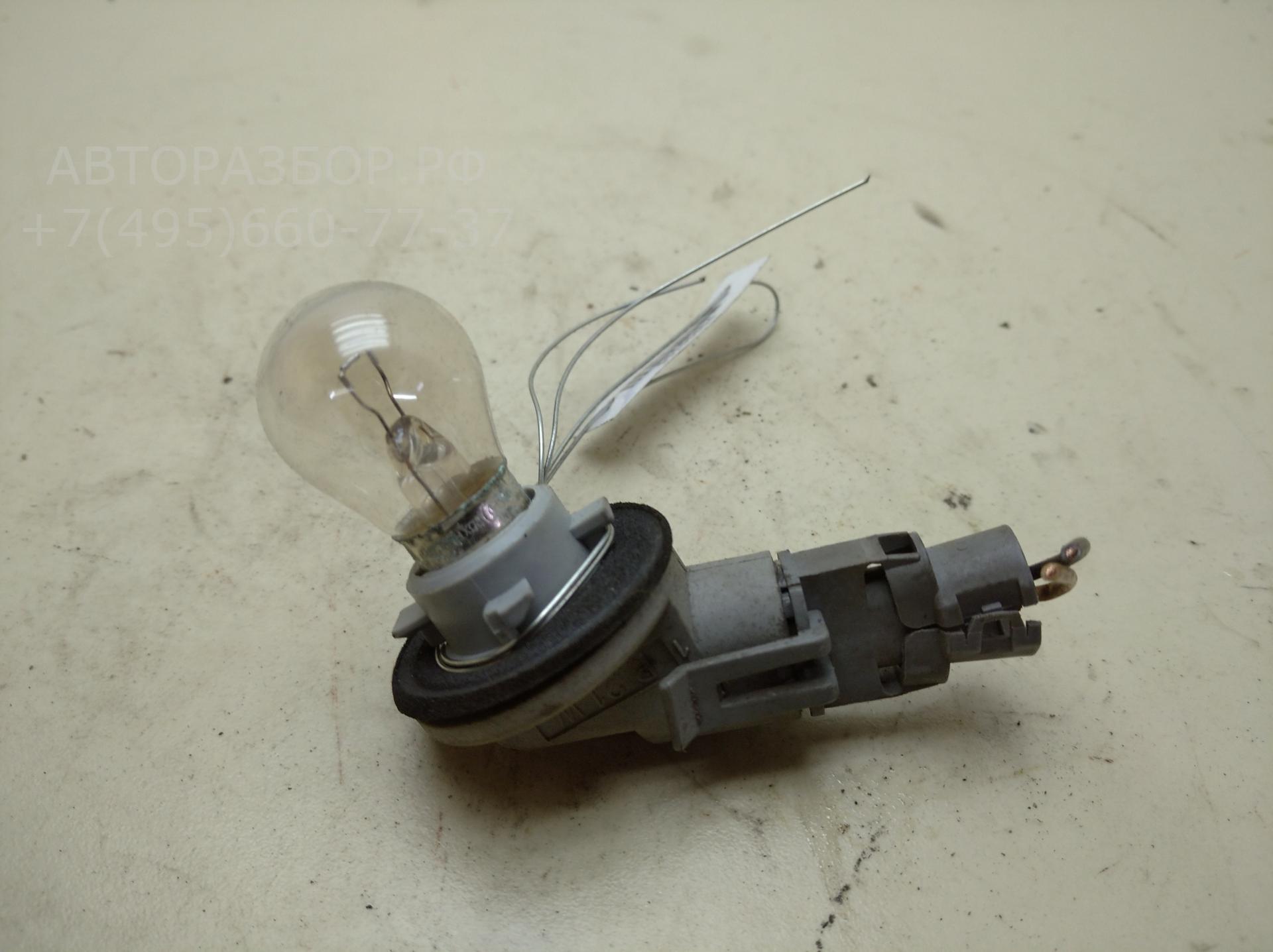 Патрон лампы