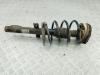 Стойка подвески передняя левая Renault Scenic II (2003-2009) Артикул 55229164 - Фото #1