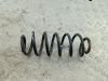 Пружина подвески задняя Audi A3 8L (1996-2003) Артикул 54559066 - Фото #1