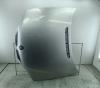Капот BMW 3 E46 (1998-2006) Артикул 54935554 - Фото #1
