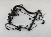 Проводка двигателя BMW 3 E46 (1998-2006) Артикул 55131513 - Фото #1