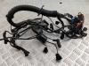Проводка двигателя BMW 3 E46 (1998-2006) Артикул 55268593 - Фото #1