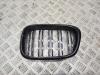 Решетка радиатора BMW 5 E39 (1995-2003) Артикул 55022629 - Фото #1