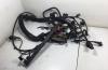 Проводка двигателя BMW 5 E39 (1995-2003) Артикул 55068582 - Фото #1