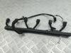 Проводка двигателя BMW 5 E39 (1995-2003) Артикул 55165620 - Фото #1