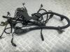 Проводка двигателя BMW 5 E39 (1995-2003) Артикул 55165682 - Фото #1