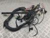 Проводка двигателя BMW 5 E39 (1995-2003) Артикул 55169569 - Фото #1