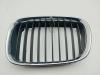 Решетка радиатора BMW 5 E39 (1995-2003) Артикул 55257805 - Фото #1