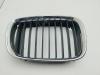 Решетка радиатора BMW 5 E39 (1995-2003) Артикул 55257837 - Фото #1