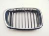 Решетка радиатора BMW 5 E39 (1995-2003) Артикул 55258546 - Фото #1