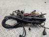 Проводка двигателя BMW 5 E39 (1995-2003) Артикул 55304545 - Фото #1