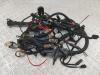 Проводка двигателя BMW 5 E39 (1995-2003) Артикул 55308409 - Фото #1