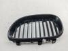 Решетка радиатора BMW 5 E60/E61 (2003-2010) Артикул 55391603 - Фото #1