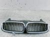 Решетка радиатора BMW 7 E65/E66 (2001-2008) Артикул 54115576 - Фото #1