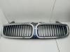 Решетка радиатора BMW 7 E65/E66 (2001-2008) Артикул 55257820 - Фото #1