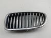 Решетка радиатора BMW 5 F10/F11 (2009-2017) Артикул 55091487 - Фото #1