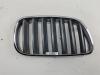 Решетка радиатора BMW X3 E83 (2003-2010) Артикул 55059461 - Фото #1