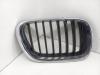 Решетка радиатора BMW X5 E53 (1999-2006) Артикул 54968637 - Фото #1