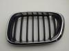 Решетка радиатора BMW X5 E53 (1999-2006) Артикул 55072493 - Фото #1