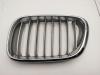 Решетка радиатора BMW X5 E53 (1999-2006) Артикул 55257833 - Фото #1