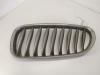 Решетка радиатора BMW Z4 E85/E86 (2002-2008) Артикул 54280139 - Фото #1