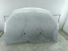 Капот Dacia (Renault) Sandero I (2008-2012) Артикул 55089810 - Фото #1