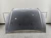 Капот Fiat Doblo (2000-2010) Артикул 55291851 - Фото #1