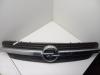 Решетка радиатора Opel Meriva A Артикул 54458262 - Фото #1