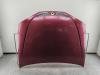 Капот Renault Megane I (1995-2003) Артикул 55230456 - Фото #1