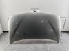 Капот Renault Scenic I (1996-2003) Артикул 54875999 - Фото #1