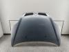 Капот Renault Scenic I (1996-2003) Артикул 55226569 - Фото #1