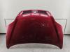 Капот Renault Scenic I (1996-2003) Артикул 55229503 - Фото #1