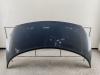Капот Renault Scenic II (2003-2009) Артикул 55080787 - Фото #1