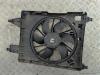 Вентилятор радиатора Renault Scenic II (2003-2009) Артикул 55195202 - Фото #1