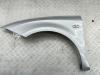 Крыло переднее левое Seat Leon (2005-2012) Артикул 55058776 - Фото #1