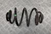 Пружина подвески задняя Volkswagen Passat B5+ (GP) Артикул 54941028 - Фото #1